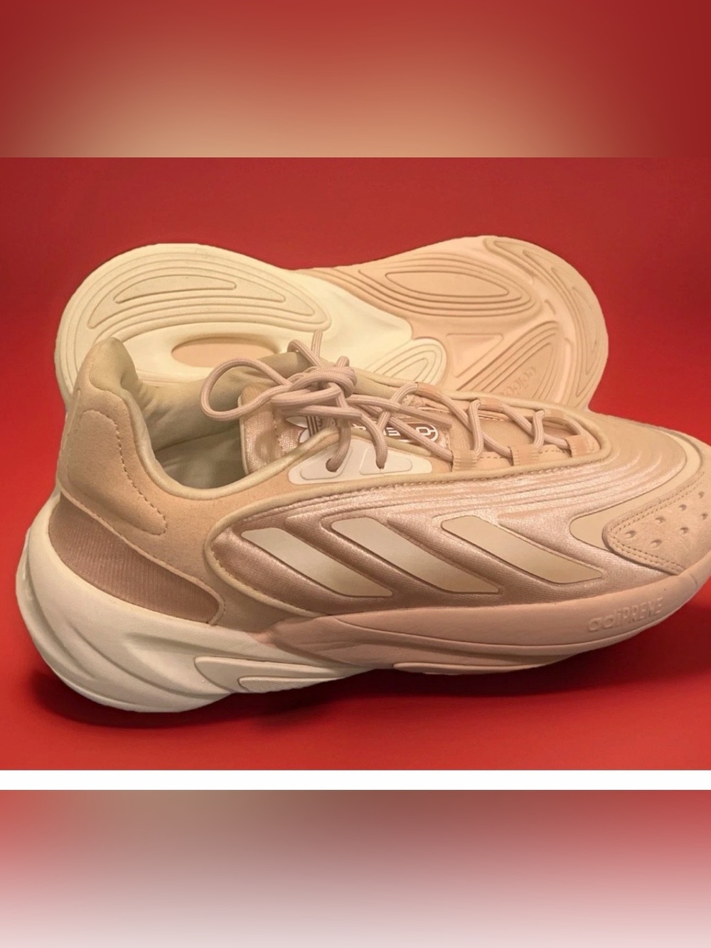 adidas Beige and White Sneaker Label Close-Up